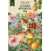 Набор высечек коллекция Summer botanical diary 58 шт