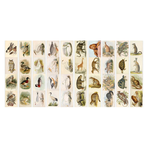 Набор полос с картинками для декорирования Животные и птицы 5 шт 5х30,5 см