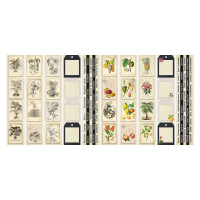 Набір смуг з картинками для декорування Botany exotic 5 шт 5х30,5 см