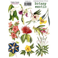 Набір наклейок (стікерів) 10 шт Botany exotic №210 Ботанічна Екзотика