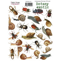 Набір наклейок (стікерів) 24 шт Botany exotic №212 Ботанічна Екзотика