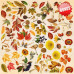 Набор скрапбумаги Autumn botanical diary 20x20 см, 10 листов