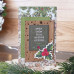 Набор для создания поздравительных открыток Botany winter