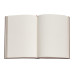 Записная книжка Paperblanks Кружево Аллюр средний 12х18 см Линейка Белый (9781439732489)
