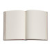 Записная книжка Paperblanks Эквинокс Лазурный 23х18 см большой Нелинированный Flexi (9781439764732)