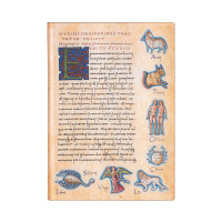 Записник Paperblanks Астрономіка - De Sideribus Tractatus 12х18 см середній Лінійка Flexi 176 ст. FB7289-8