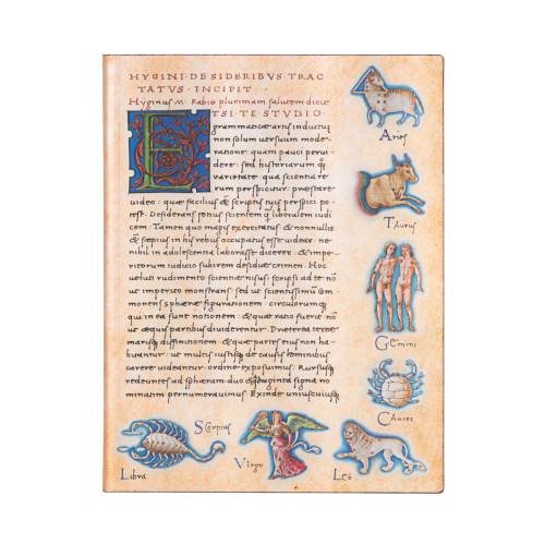 Записная книжка Paperblanks Астрономика - De Sideribus Tractatus 23х18 см большой Линейка Flexi (9781439772874)