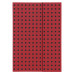 Записная книжка Paper-Oh Quadro B5 / Нелинированный Красный на Черном (9781439790571)
