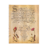 Записник Paperblanks Ботанічні дива - Фламандська роза 23х18 см великий Лінійка (9781439781241)