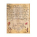 Записник Paperblanks Ботанічні дива - Фламандська роза 23х18 см великий Нелінований (9781439781739)