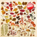 Набор скрапбумаги Ботаническая Осень Botany autumn 30,5x30,5 см, 10 листов