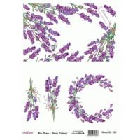 Декупажні картки на рисовому папері Rice Paper Decoupage Cadence, №483