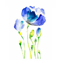 Трансфери для тканини Watercolor Fabric Transfer Cadence, 25х35 см, KTSB 014