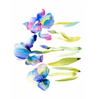Трансферы для ткани Watercolor Fabric Transfer Cadence, 25х35 см, KTSB 015