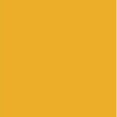 Пастель Conte Soft Pastels, №012 Orange Оранжевый