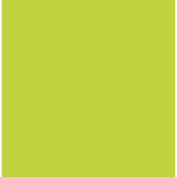 Пастель Conte Soft Pastels, №044 St-Michael green Санкт-Майкл зеленый