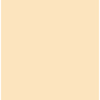 Пастель Conte Soft Pastels, №048 Flesh Натуральный