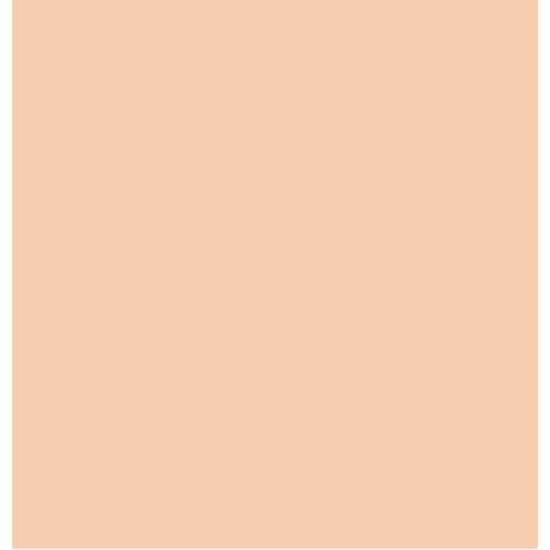 Пастель Conte Soft Pastels, №049 Світло-оранжевий