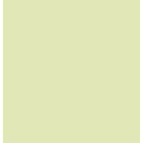 Пастель Conte Soft Pastels, №050 Lime green Зелений лайм