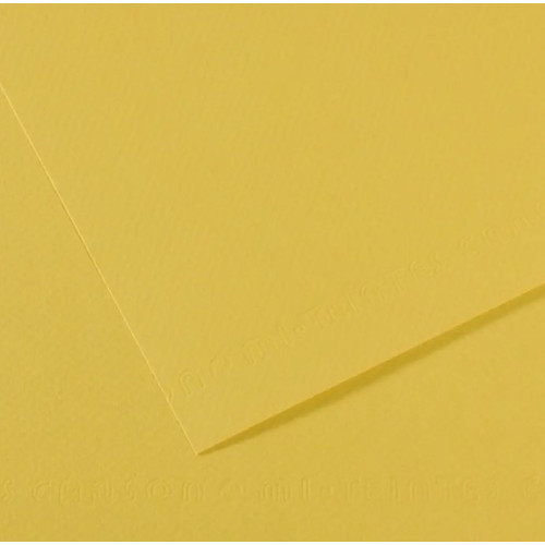 Бумага для пастели Canson Mi-Teintes, №107 Анис Anis, 160 г/м2, 50x65 см
