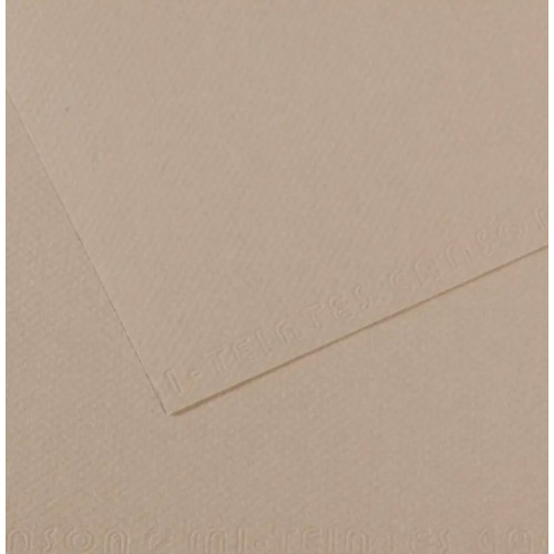 Бумага для пастели Canson Mi-Teintes, №122 Фланелевый серый Flannel gray, 160 г/м2, 75x110 см
