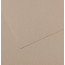 Бумага для пастели Canson Mi-Teintes, №122 Фланелевый серый Flannel gray, 160 г/м2, 75x110 см - товара нет в наличии