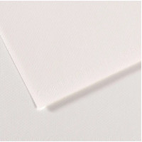 Бумага для пастели Canson Mi-Teintes, №335 Белый White, 160 г/м2, 75x110 см