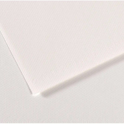 Бумага для пастели Canson Mi-Teintes, №335 Белый White, 160 г/м2, 75x110 см