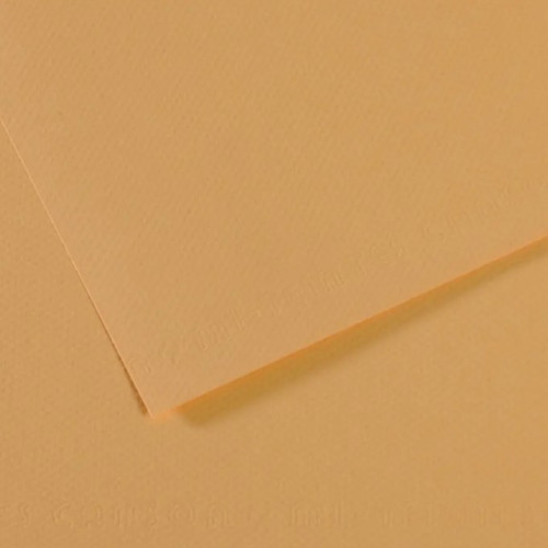 Бумага для пастели Canson Mi-Teintes, №340 Устричный Oyster, 160 г/м2, 75x110 см