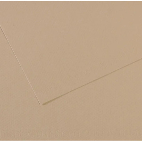 Папір для пастелі Canson Mi-Teintes, №343 Світло-сірий Pearl, 160 г/м2, 75x110 см