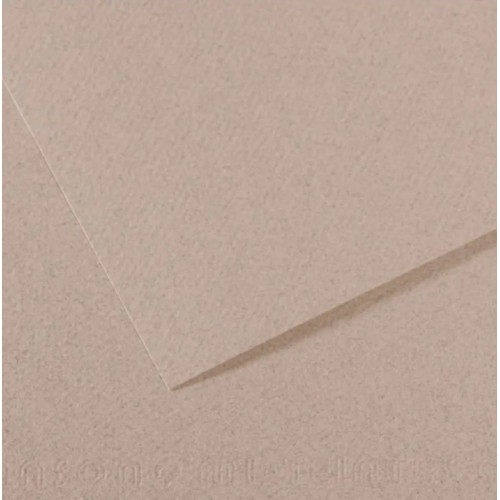 Бумага для пастели Canson Mi-Teintes, №426 Серый Moon stone, 160 г/м2, 75x110 см