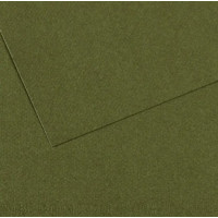Папір для пастелі Canson Mi-Teintes, №448 Темно-зелений Ivy, 160 г/м2, 75x110 см