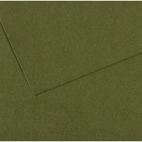 Папір для пастелі Canson Mi-Teintes, №448 Темно-зелений Ivy, 160 г/м2, 75x110 см