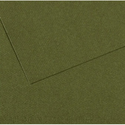 Папір для пастелі Canson Mi-Teintes, №448 Темно-зелений Ivy, 160 г/м2, 75x110 см