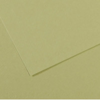 Бумага для пастели Canson Mi-Teintes, №480 Светло-зеленый Light green, 160 г/м2, 75x110 см