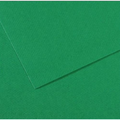 Бумага для пастели Canson Mi-Teintes, №575 Зеленый Viridian, 160 г/м2, 75x110 см