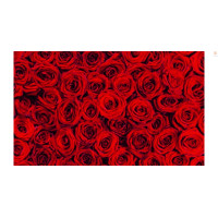 Картон Folia Decorative Elements Flowers 270 гр, 50x70 см, Троянди