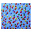 Картон Folia Decorative Kids 270 г/м2, 50x70 см, Воздушные шарики