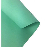 Картон Folia Photo Mounting Board 300 г/м2, 70x100 см, №25 Mint Мятный