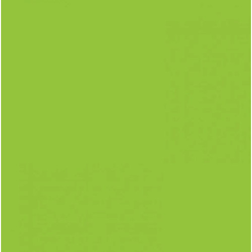 Картон Folia Photo Mounting Board 300 г/м2, 70x100 см, №50 Light green Салатовый