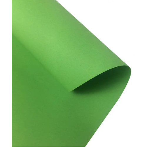 Картон Folia Photo Mounting Board 300 г/м2, 70x100 см, №51 Light green Светло-зеленый
