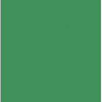 Картон Folia Photo Mounting Board 300 г/м2, 70x100 см №53 Moss green тьмяно-зелений