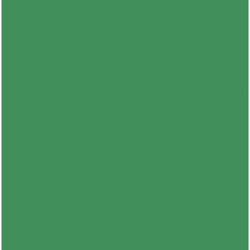 Картон Folia Photo Mounting Board 300 г/м2, 70x100 см, №53 Moss green тускло-зеленый