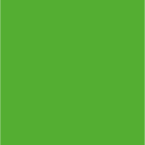 Картон Folia Photo Mounting Board 300 г/м2, 70x100 см №55 Grass green Зеленый