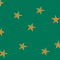 Картон Folia Photo Mounting Board with gold stars 300 г/м2, 50x70 см, №51 Green Зеленый