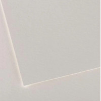 Папір для акрилу Canson Acrylic Cold pressed, 50x65 см, 400 г/м2, 1 лист
