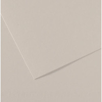 Папір для пастелі Canson Mi-Teintes, №120 Ніжно-сірий Pearl grey, 160 г/м2, 75x110 см