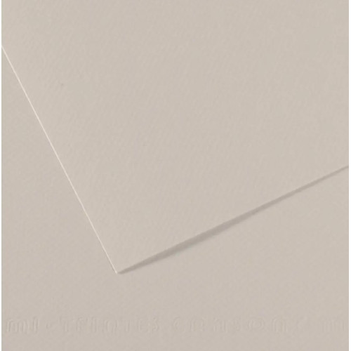 Папір для пастелі Canson Mi-Teintes, №120 Ніжно-сірий Pearl grey, 160 г/м2, 75x110 см
