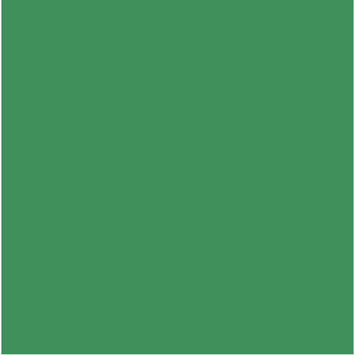 Бумага Folia Tinted Paper 130 г/м2, А4, №53 Moss green тускло-зеленый