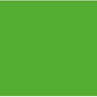Бумага Folia Tinted Paper 130 г/м2, А4, №55 Grass green Зеленый